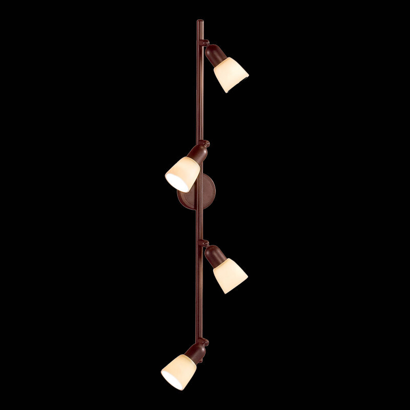 Спот Citilux CL506544