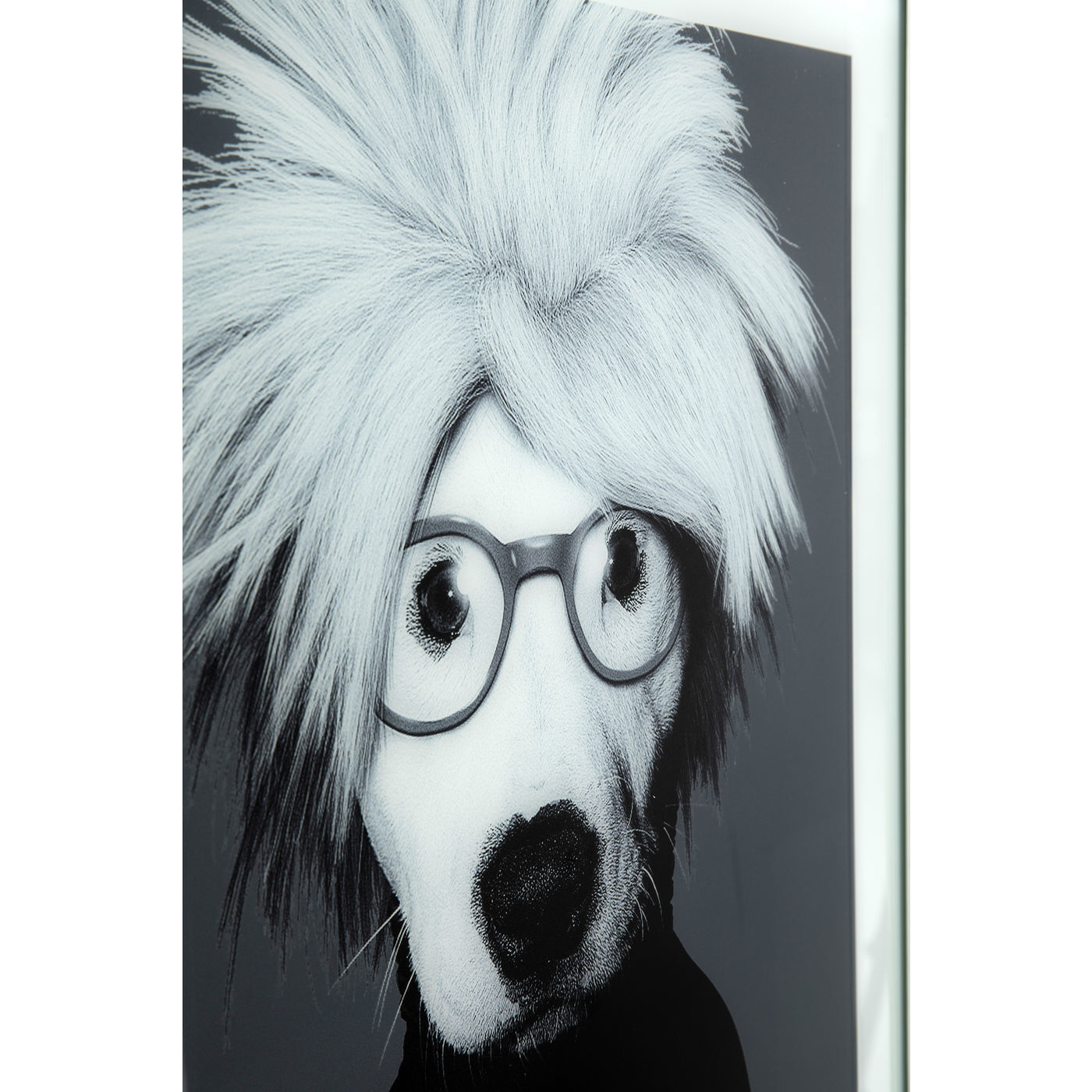 Картина в рамке Dog 51878 KARE