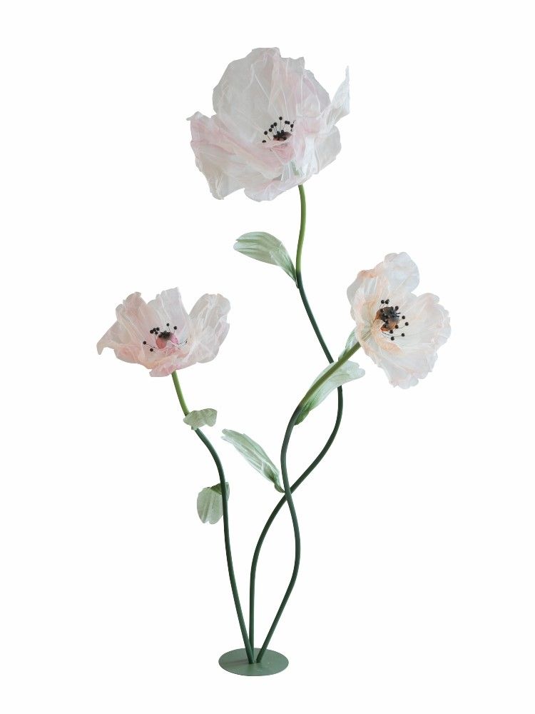 Растение декоративное Мак Glasar F98605