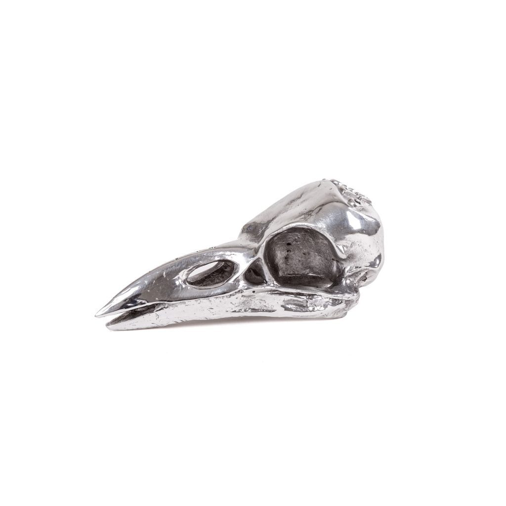 Статуэтка Seletti Wunderkammer Bird Skull 10895
