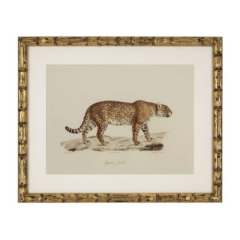 Постер Eichholtz Lion 111745