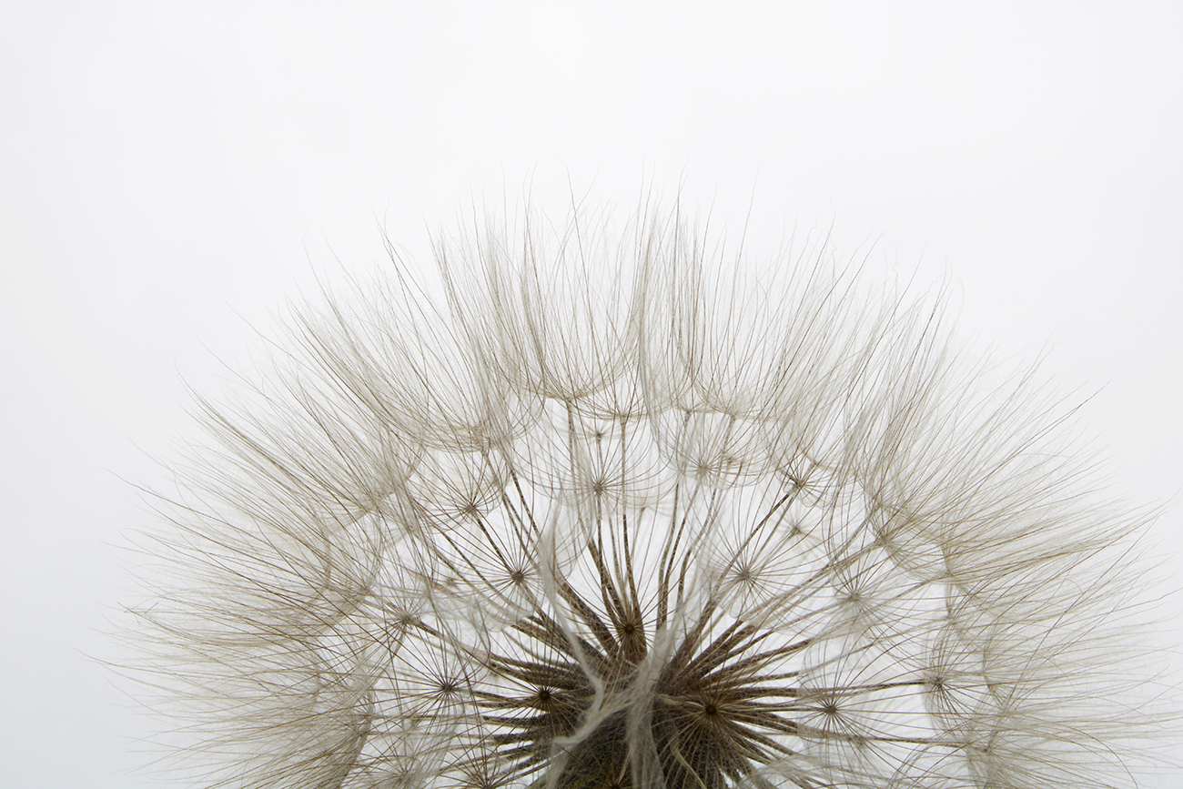 Холст "Нежность" Garda Decor 54STR-TENDER