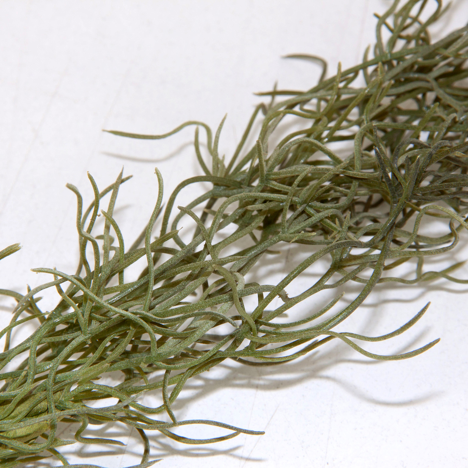 Искусственное растение ROMERO Vical