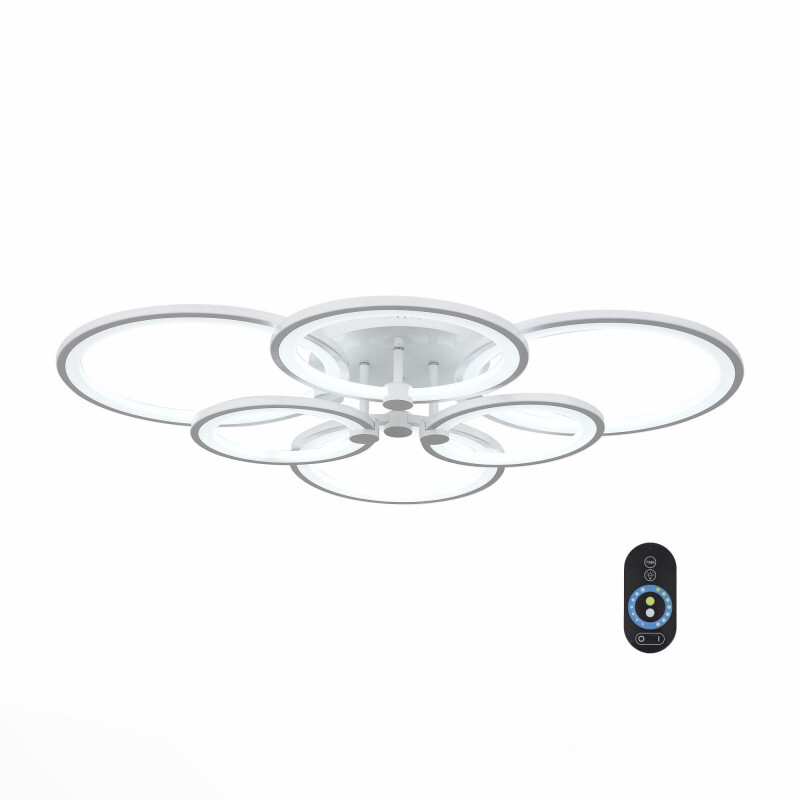 Накладной светильник ST Luce SL867.502.06