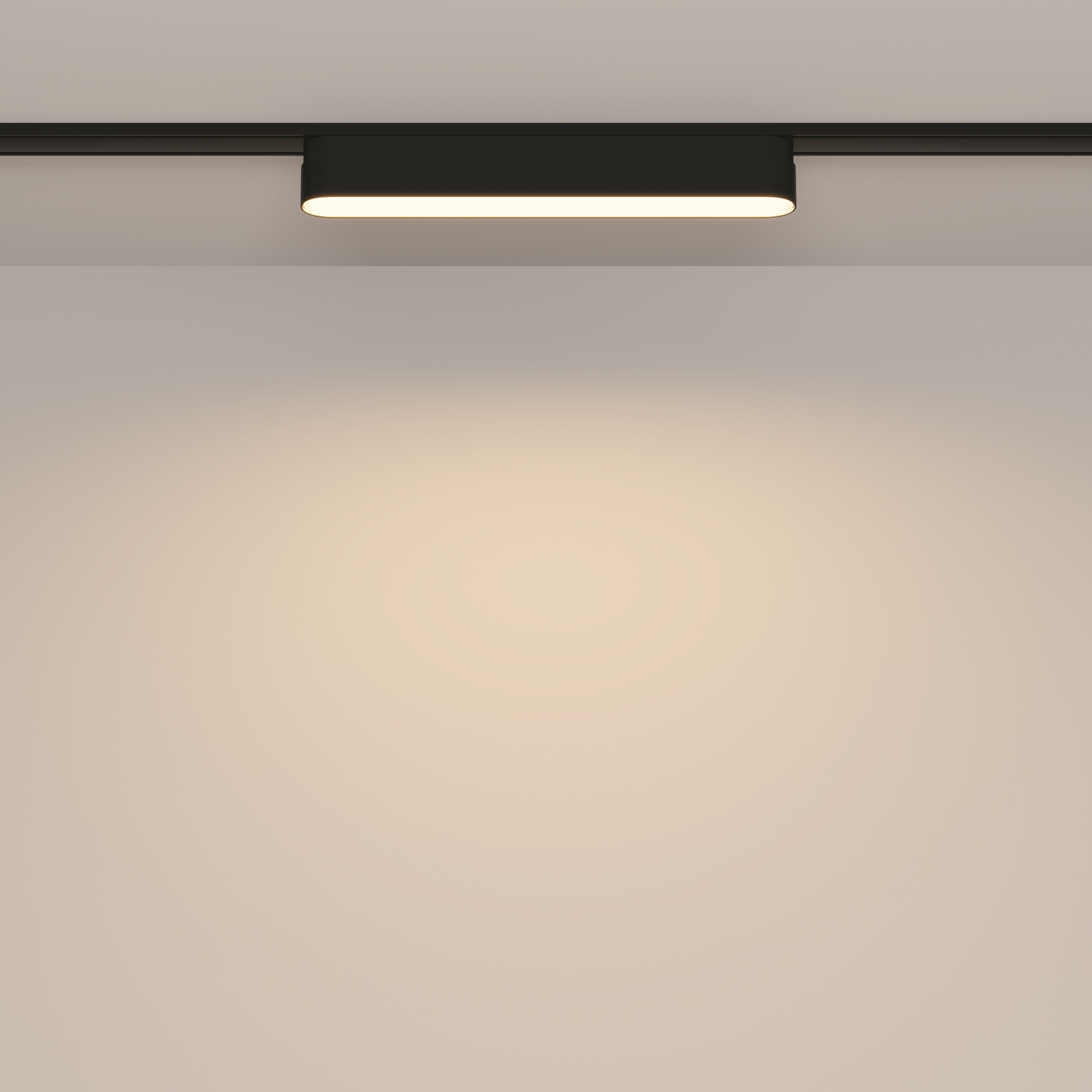 Трековый светильник Technical TR080-1-12W3K-B