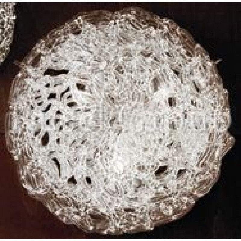 Настенно-потолочный светильник Linea Light Artic 4652