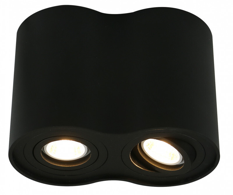 Накладной светильник Arte Lamp A5644PL-2BK