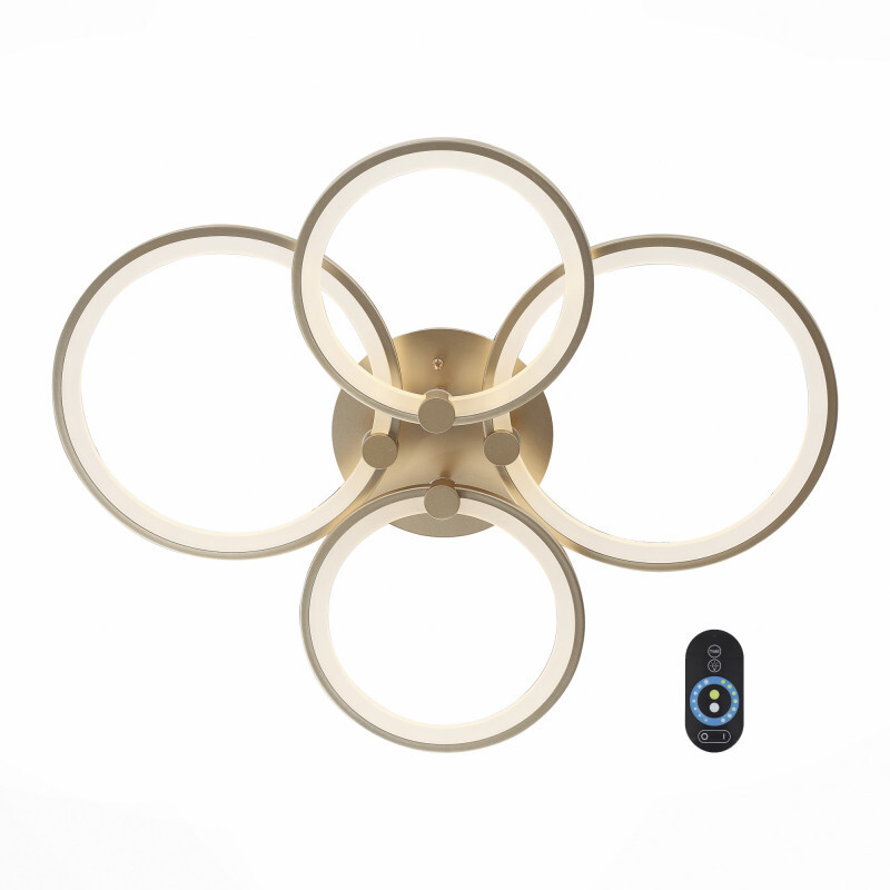 Накладной светильник ST Luce SL867.202.04