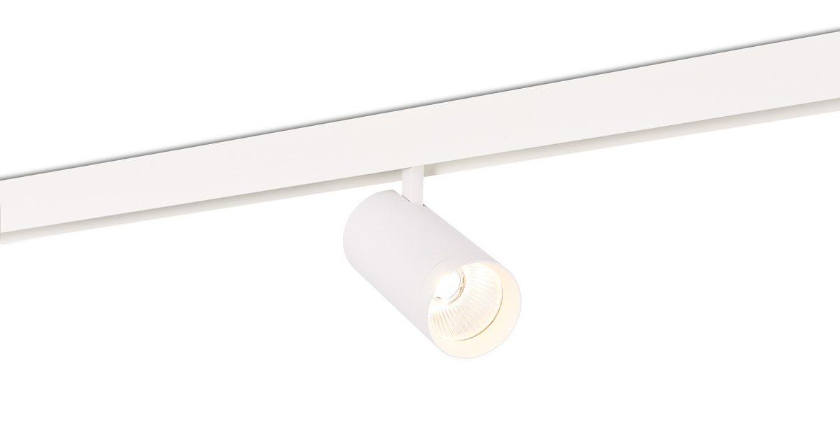 Светодиодный светильник Donolux DL20295WW30W