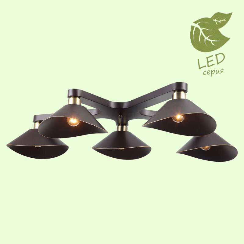 Накладная люстра Lussole LOFT GRLSP-9535