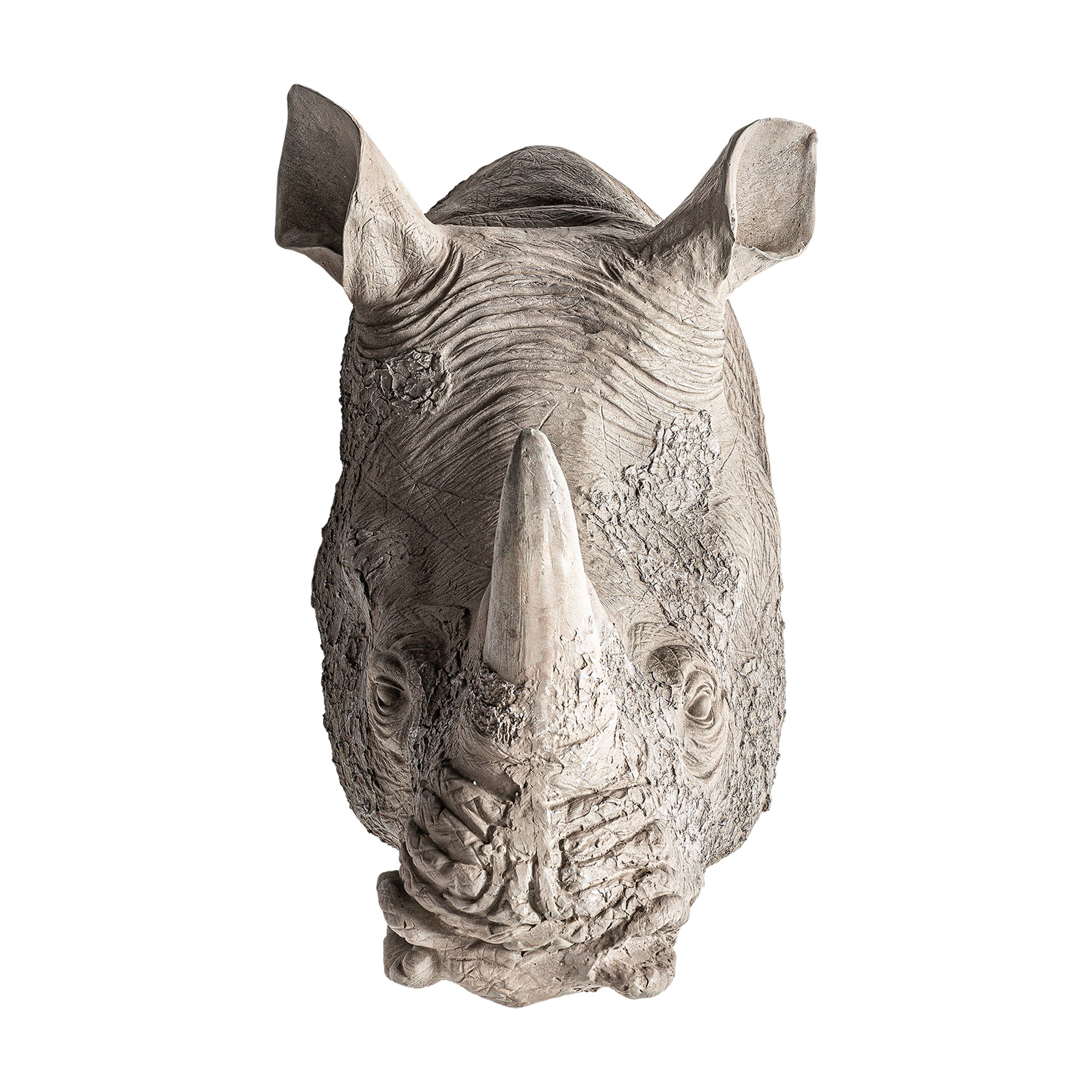 Бюст Rhinoceros Vical