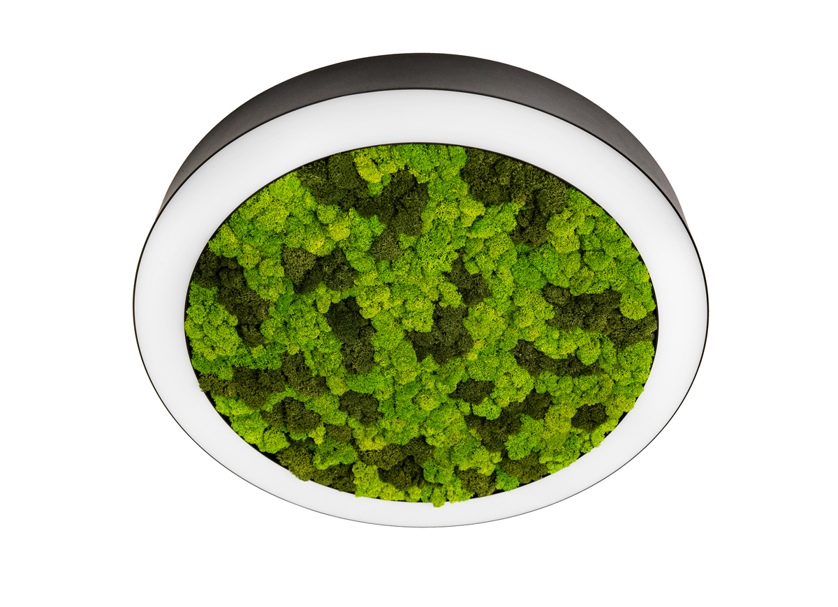 Накладной светодиодный светильник Donolux DL800C72WW Moss Black