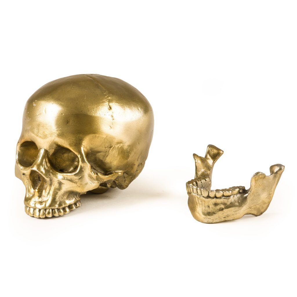 Статуэтка Seletti Wunderkrammer Human Skull 10891