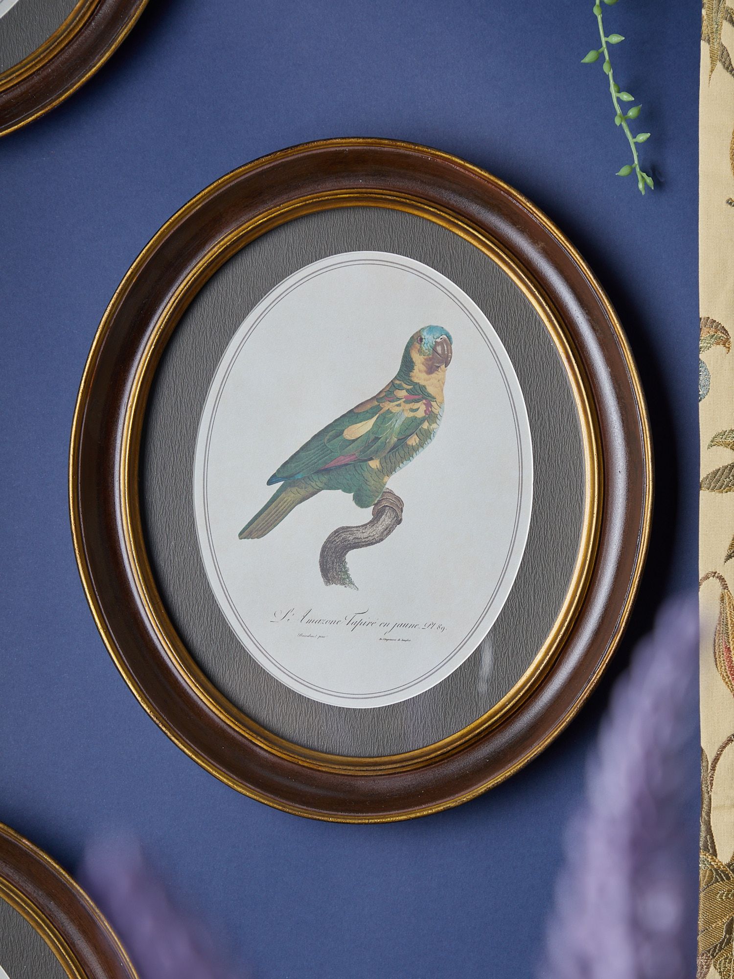 Панно настенное Попугай, под старину Glasar 28-371