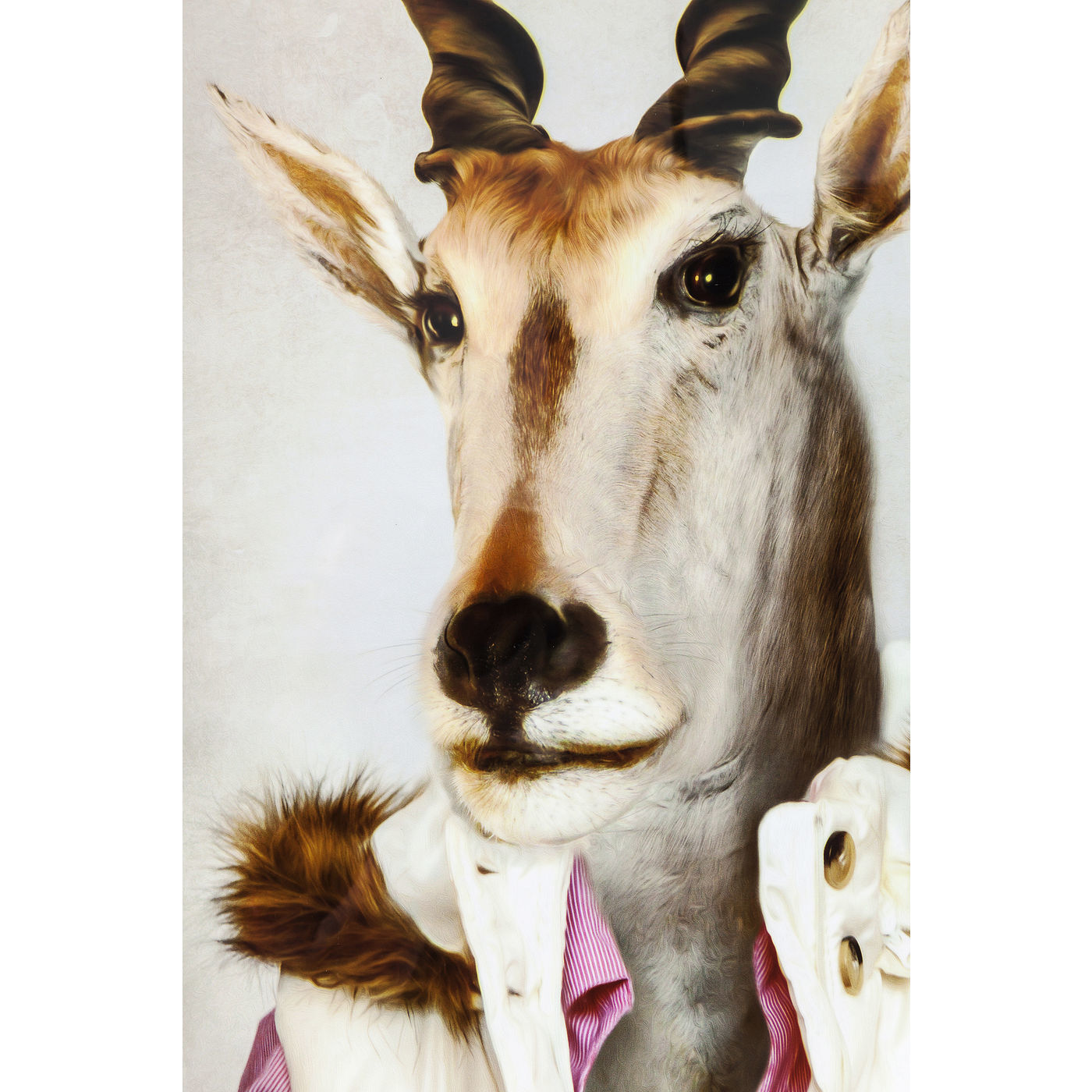 Картина в рамке Mr. Antelope 39278 KARE