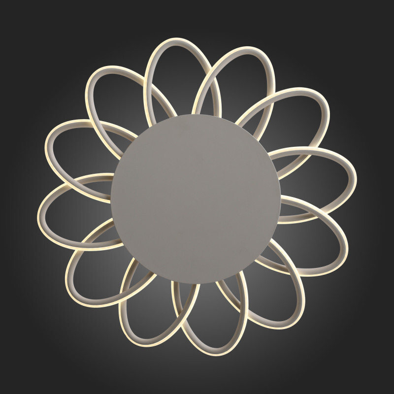 Накладная люстра ST Luce SL828.512.12