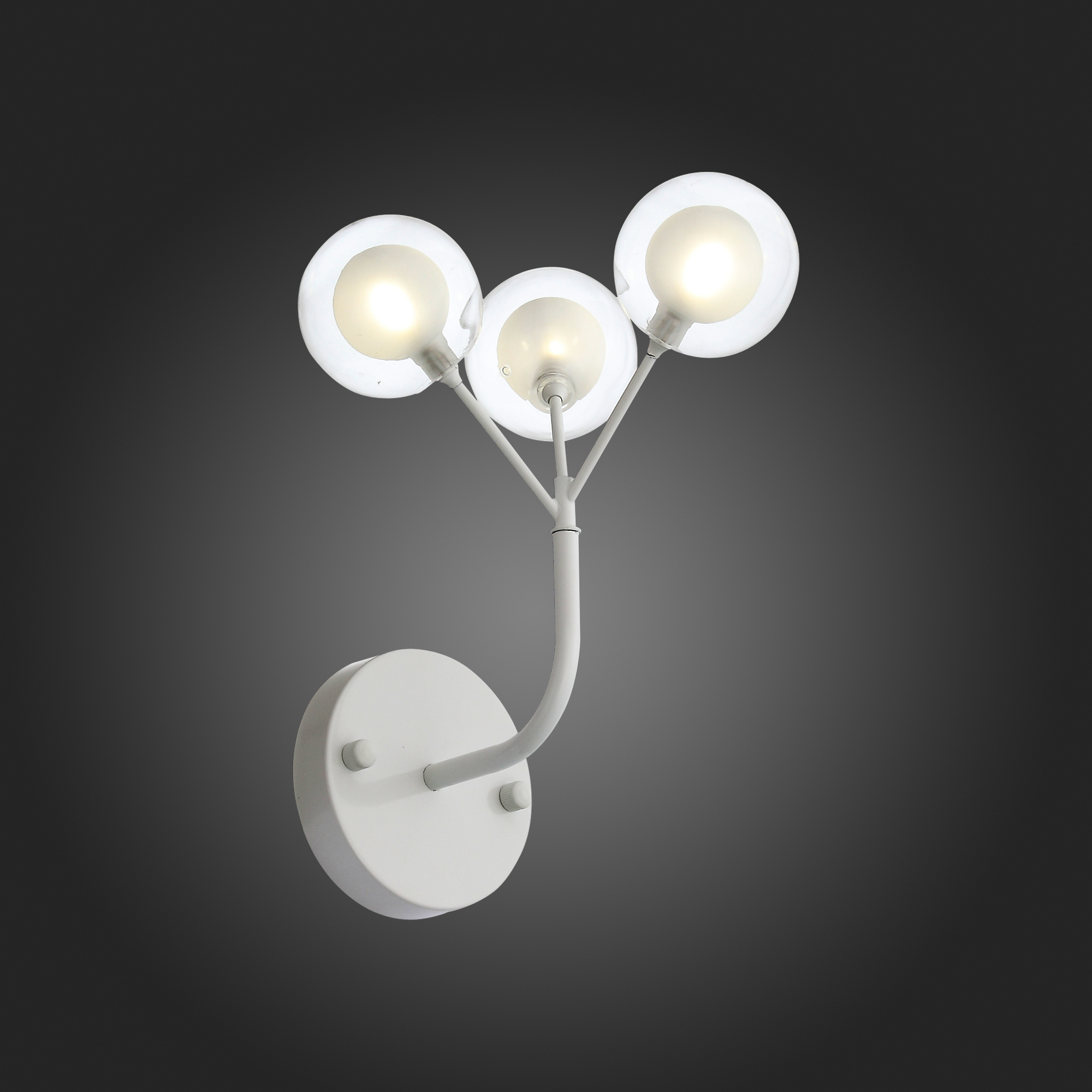 Настенный светильник FIOCHI WALL by ImperiumLoft