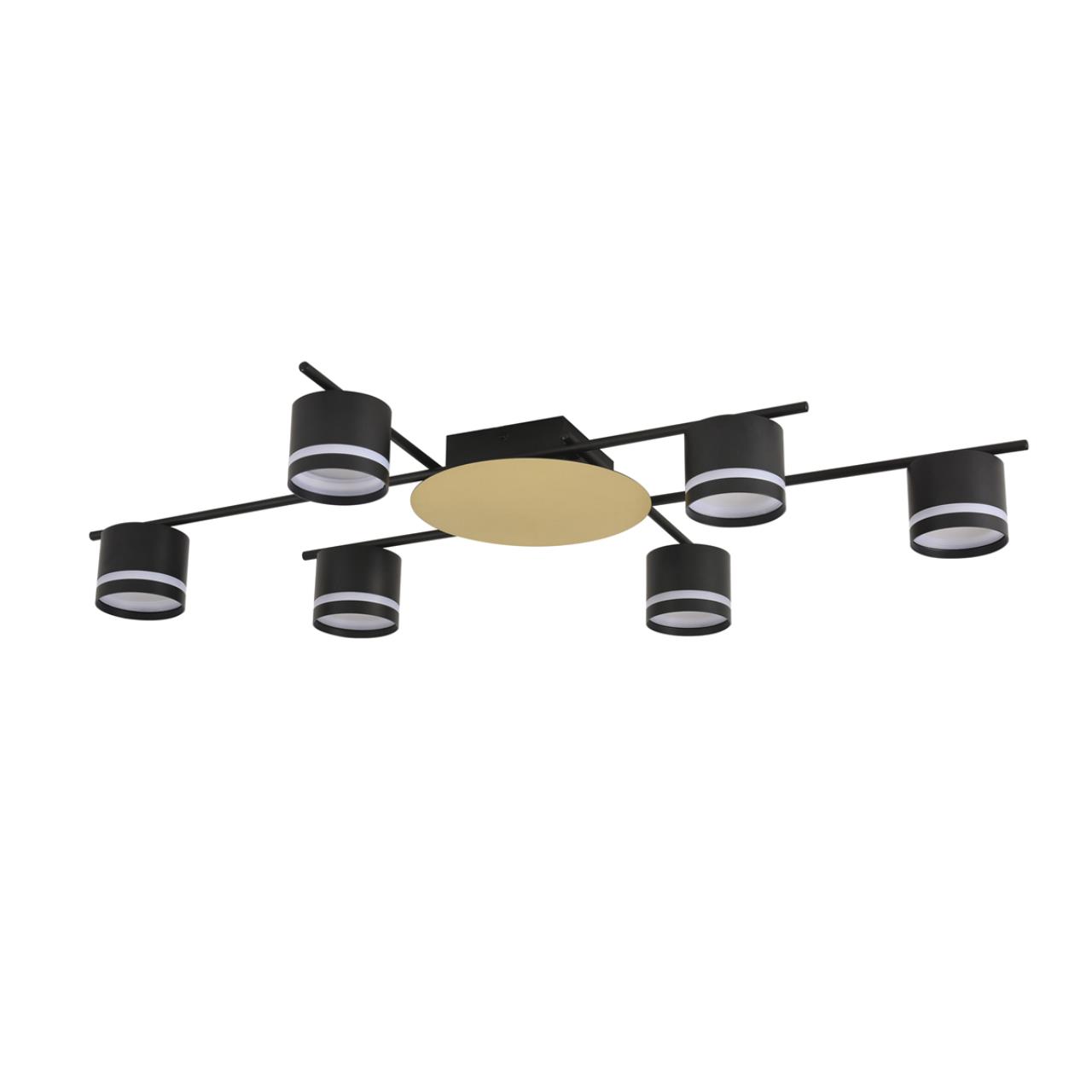 Светильник потолочный Lumion 8304/6C