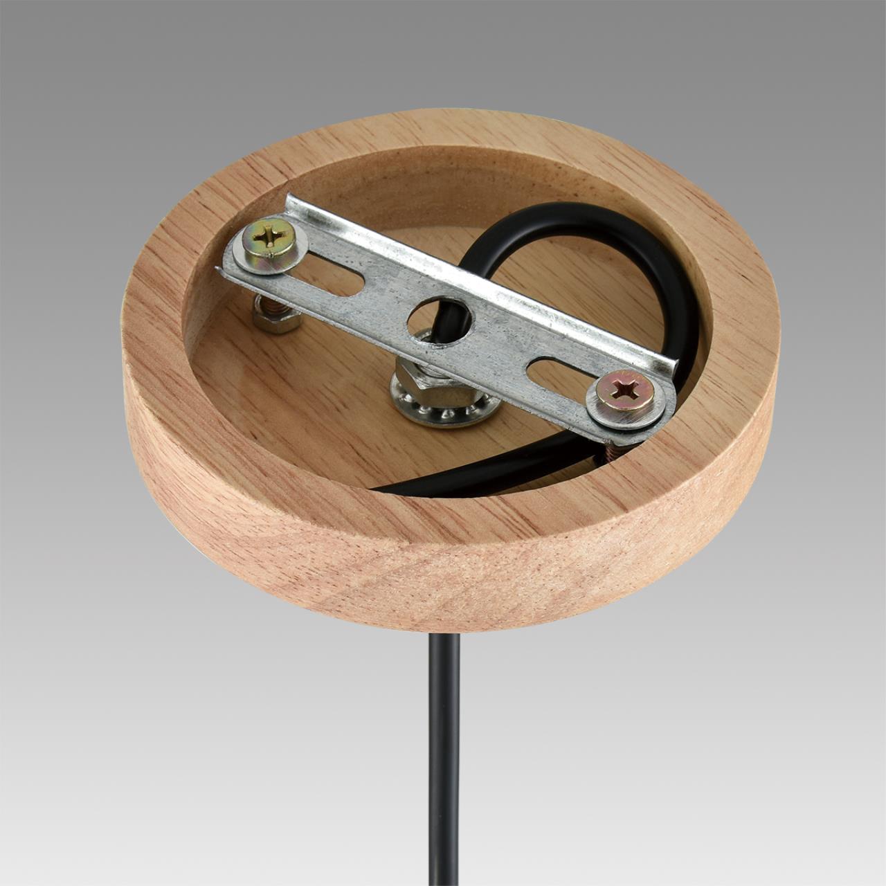 Светильник подвесной Lumion 8055/1A