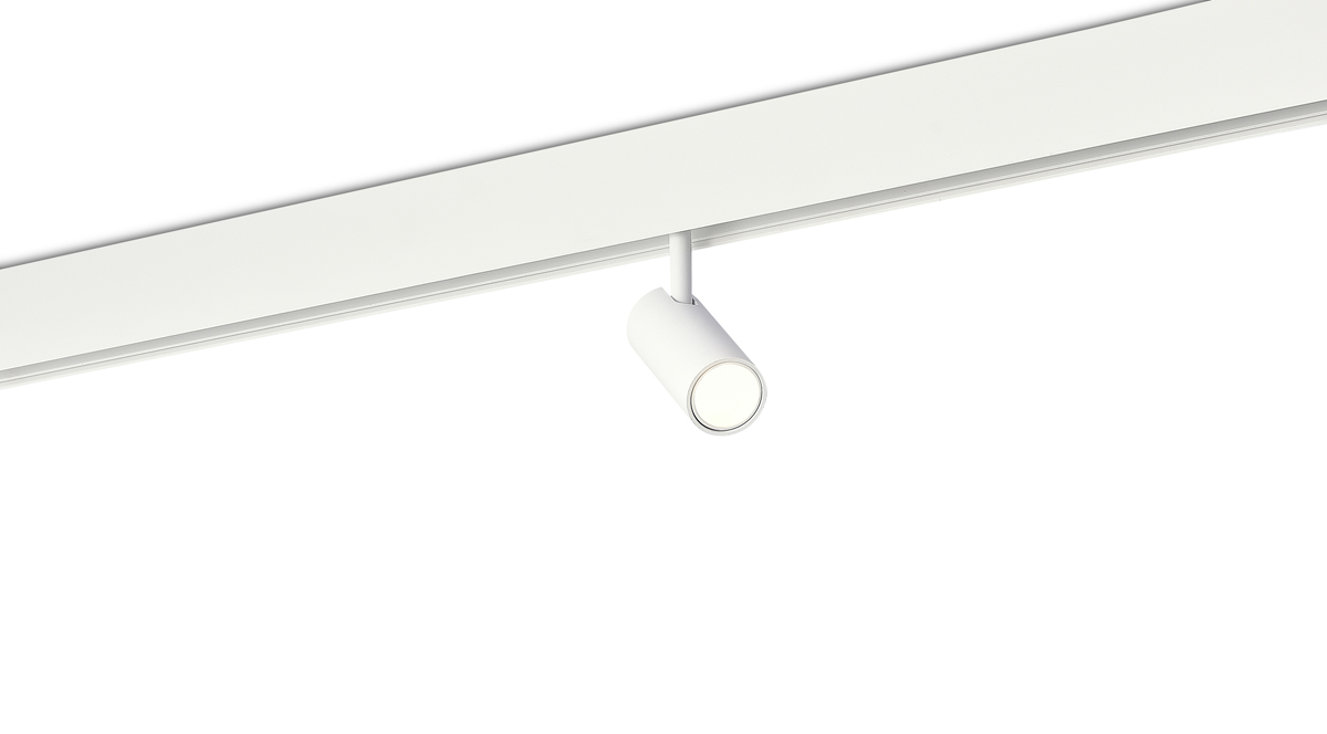 Светодиодный светильник Donolux DL20295WW5WND