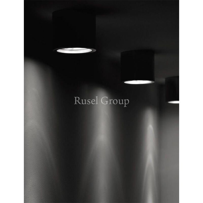 Настенно-потолочный светильник Fabbian Cricket D60 G05 60