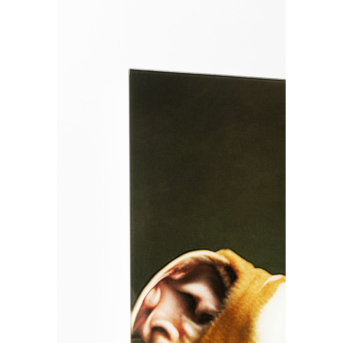 Картина стеклянная Dog Family 110x90 см KARE 56270