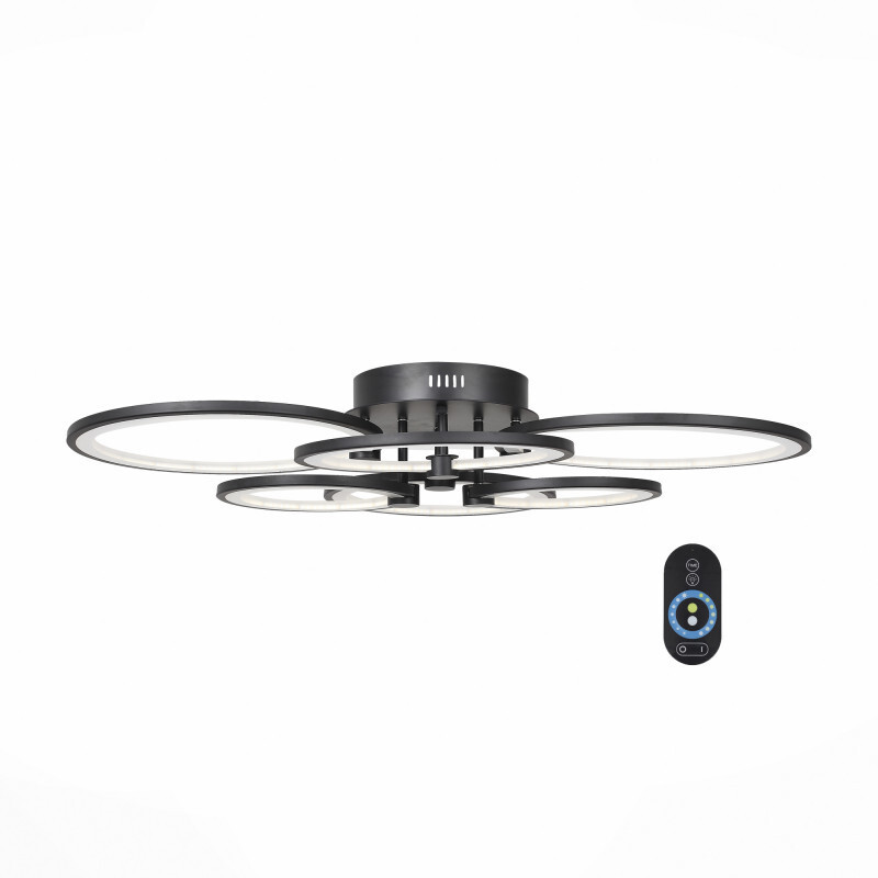 Накладной светильник ST Luce SL867.402.06