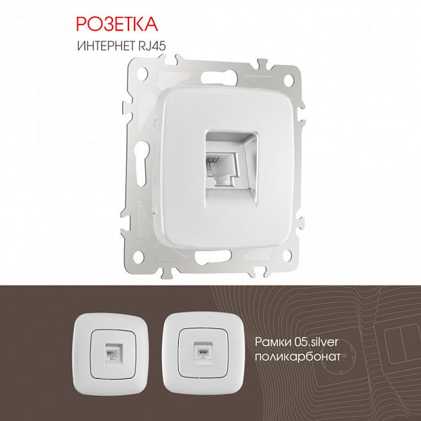 Розетка Arte Milano 205.45-1.silver