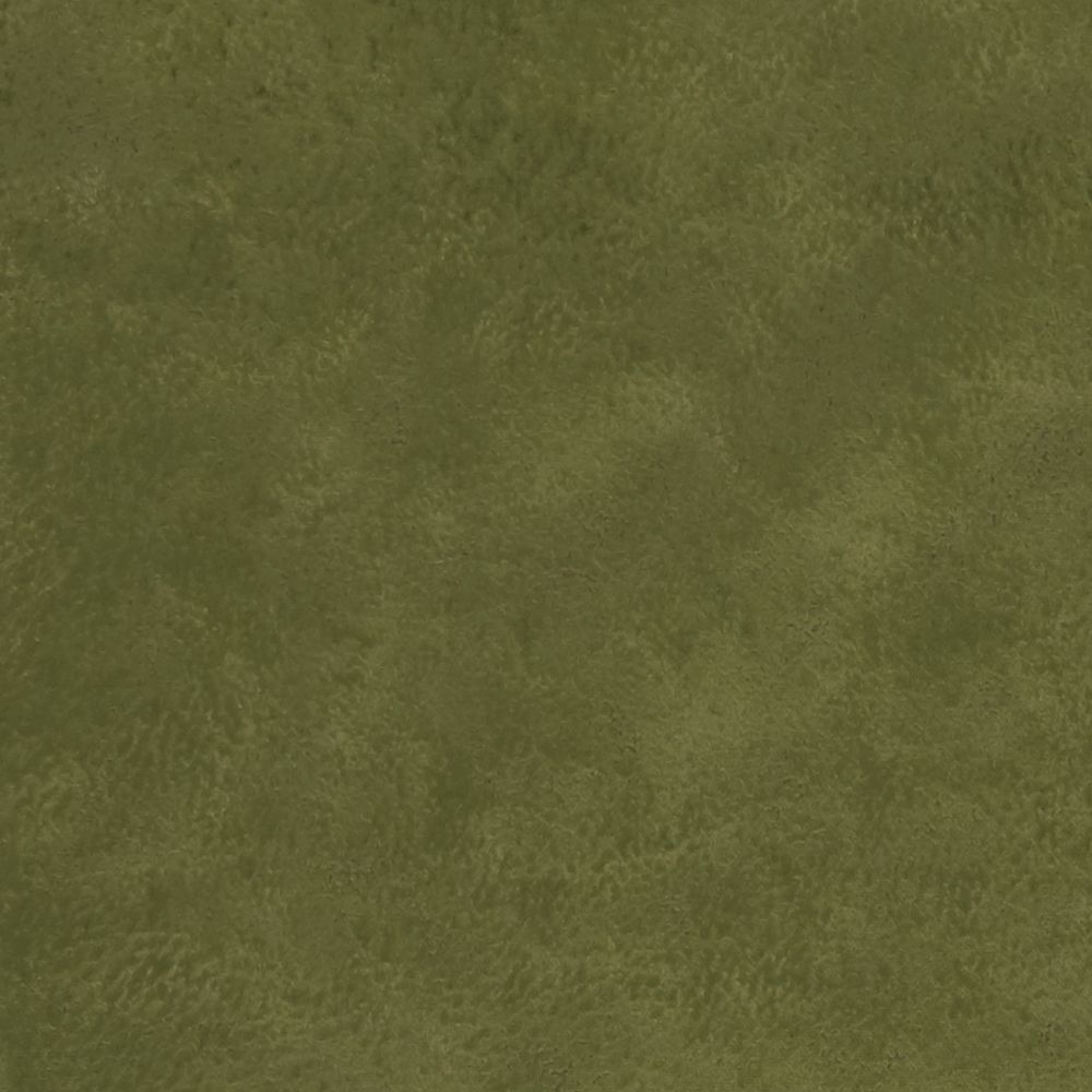 Текстиль Clarke & Clarke Alonso F1296/11