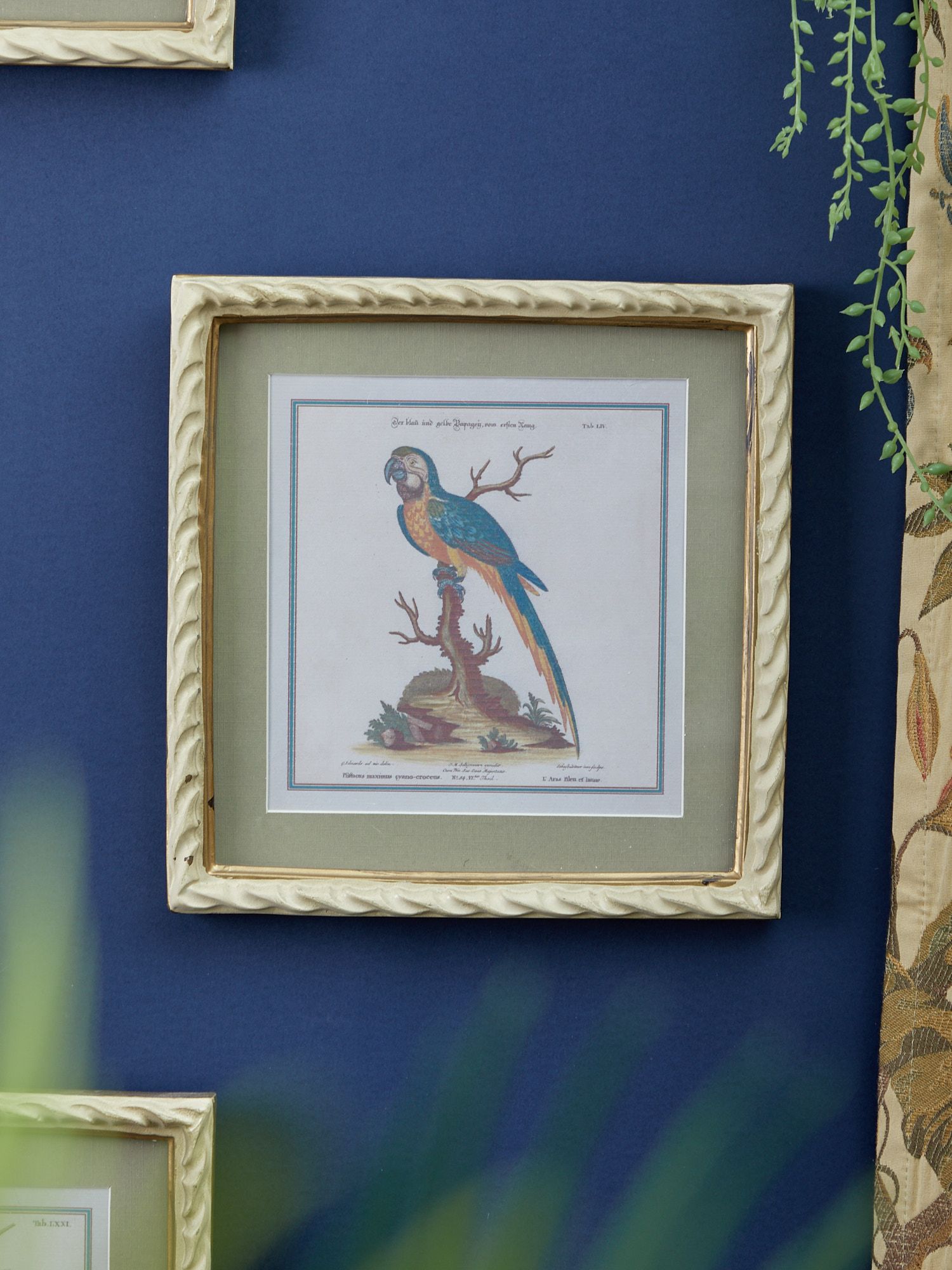 Панно настенное Попугай Glasar 28-142