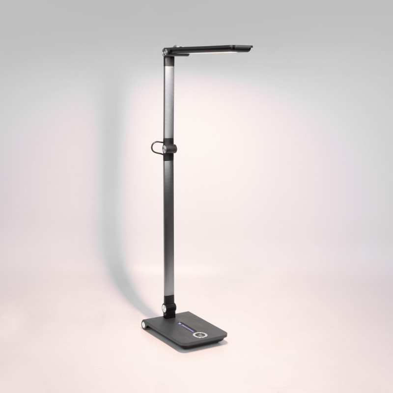 Настольная лампа Elektrostandard Great графит (TL70240)