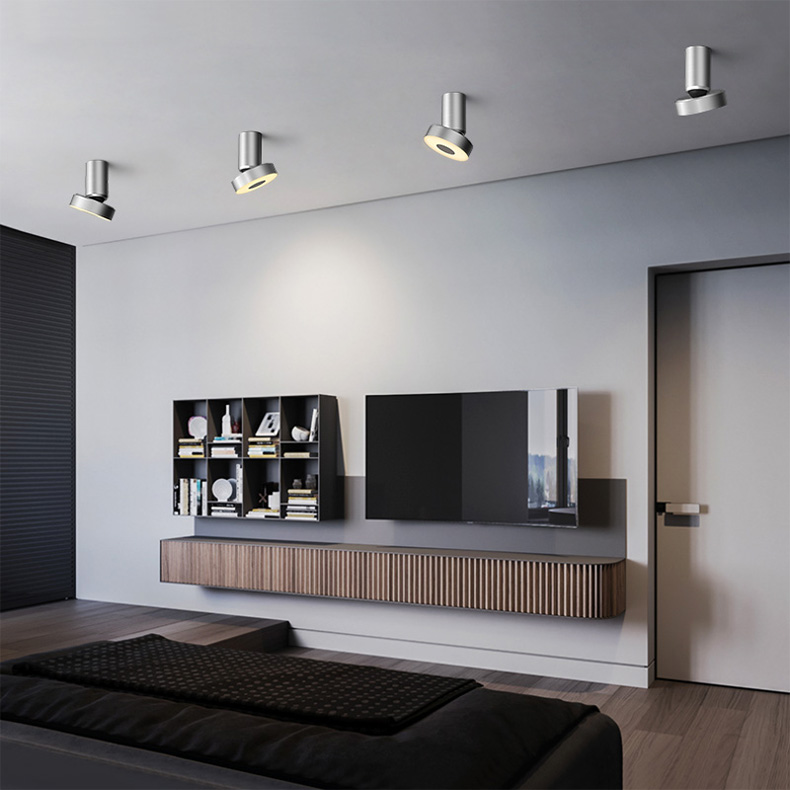 Потолочный точечный светильник STIR Silver by ImperiumLoft