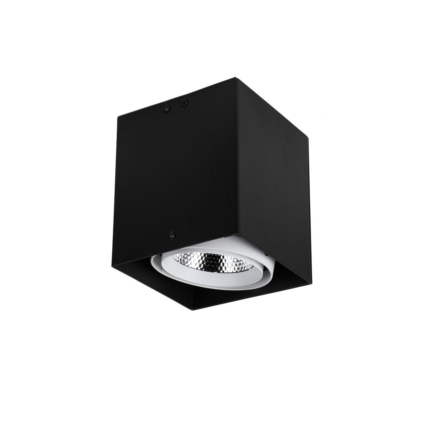 Потолочный светильник Favourite 1987-1U