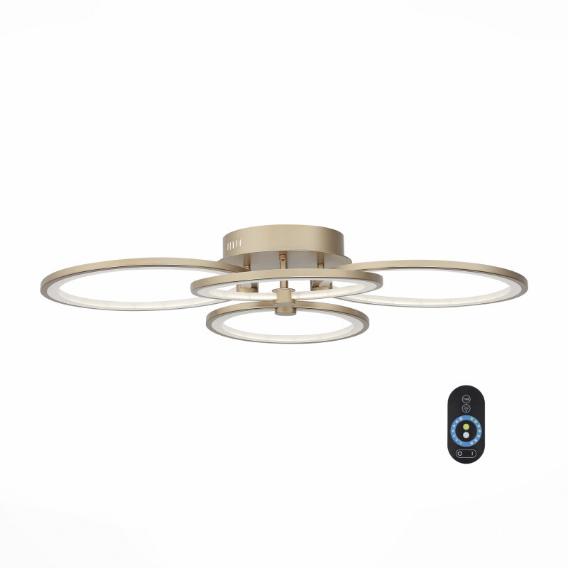 Накладной светильник ST Luce SL867.202.04