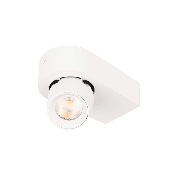 Спот LOFT IT 10320 White