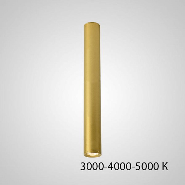 Точечный светильник PAN H80 Gold Трехцветный свет by ImperiumLoft