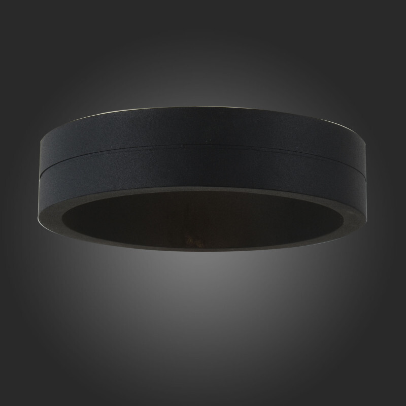 Светильник настенный ST Luce SL562.401.01