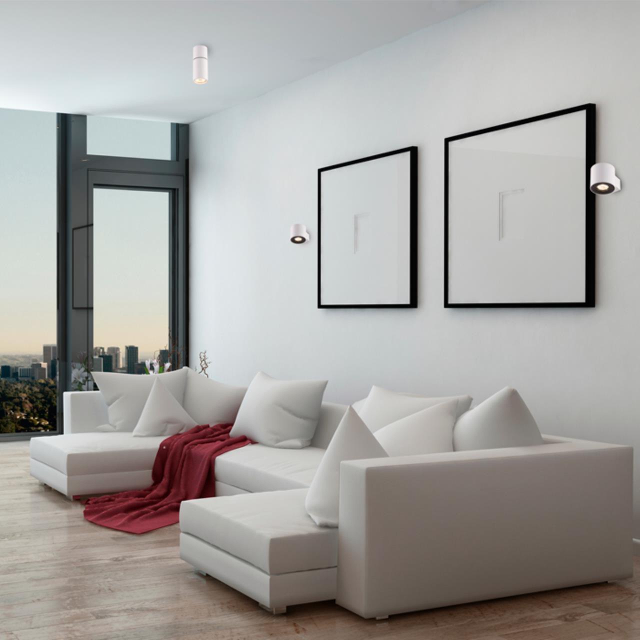 Потолочный накладной светильник Odeon Light 3582/1C