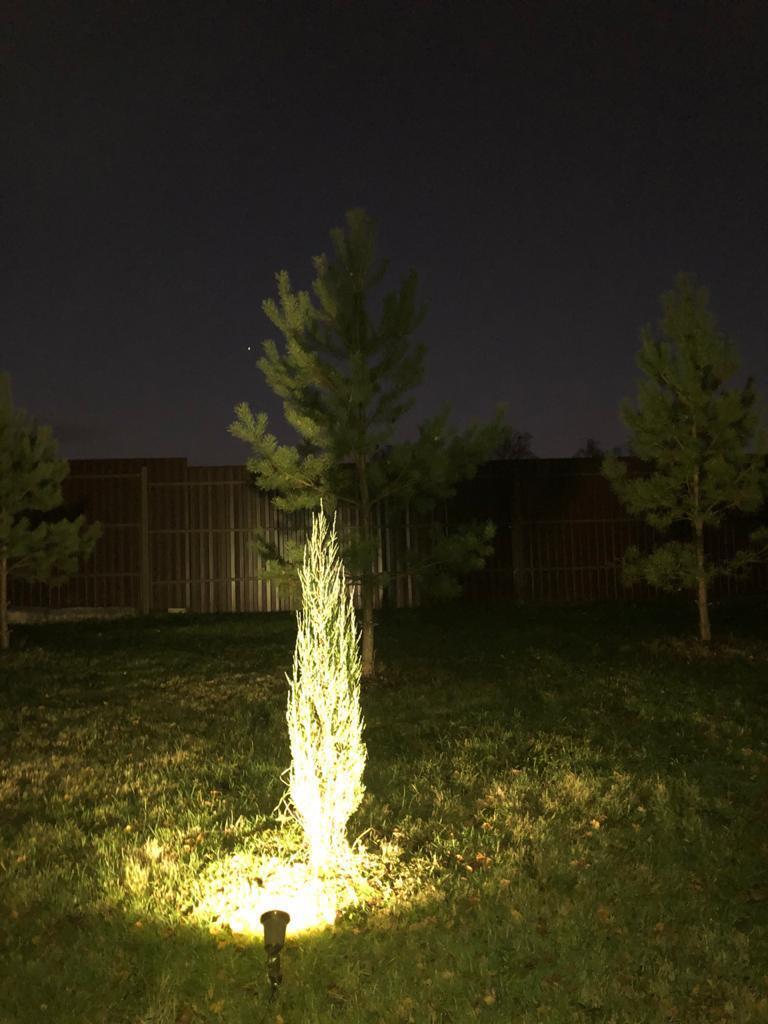 Садовый светильник Covali FL-33005