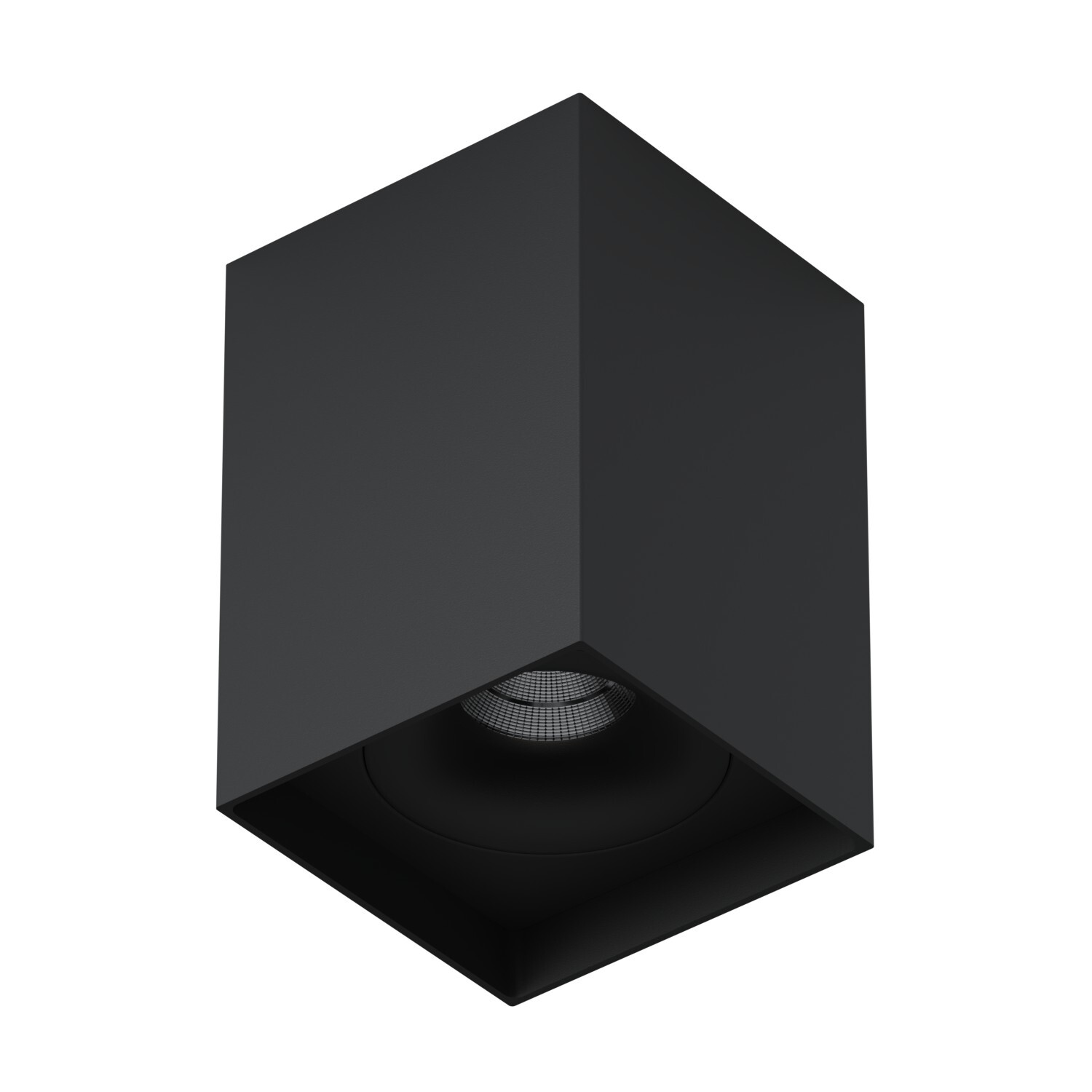 Накладной светильник под сменную лампу Ledron MJ1021GW Black