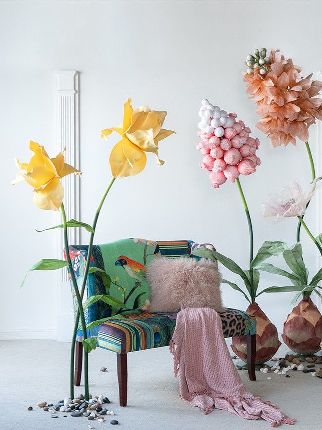 Растение декоративное Ирис Glasar F98621