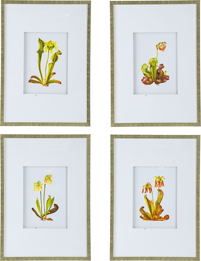 Панно Флора, Glasar SM49995