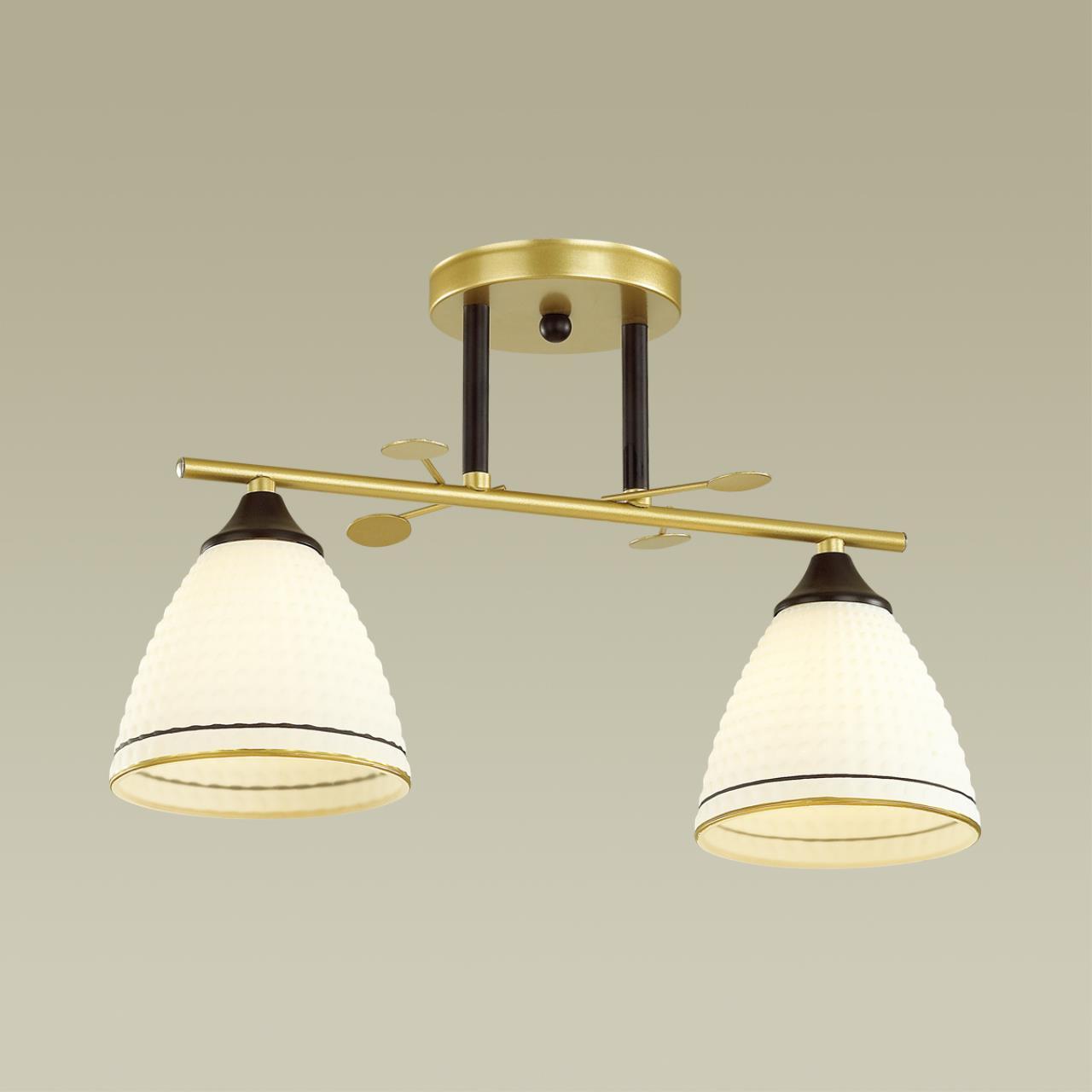 Люстра потолочная Lumion 4544/2C