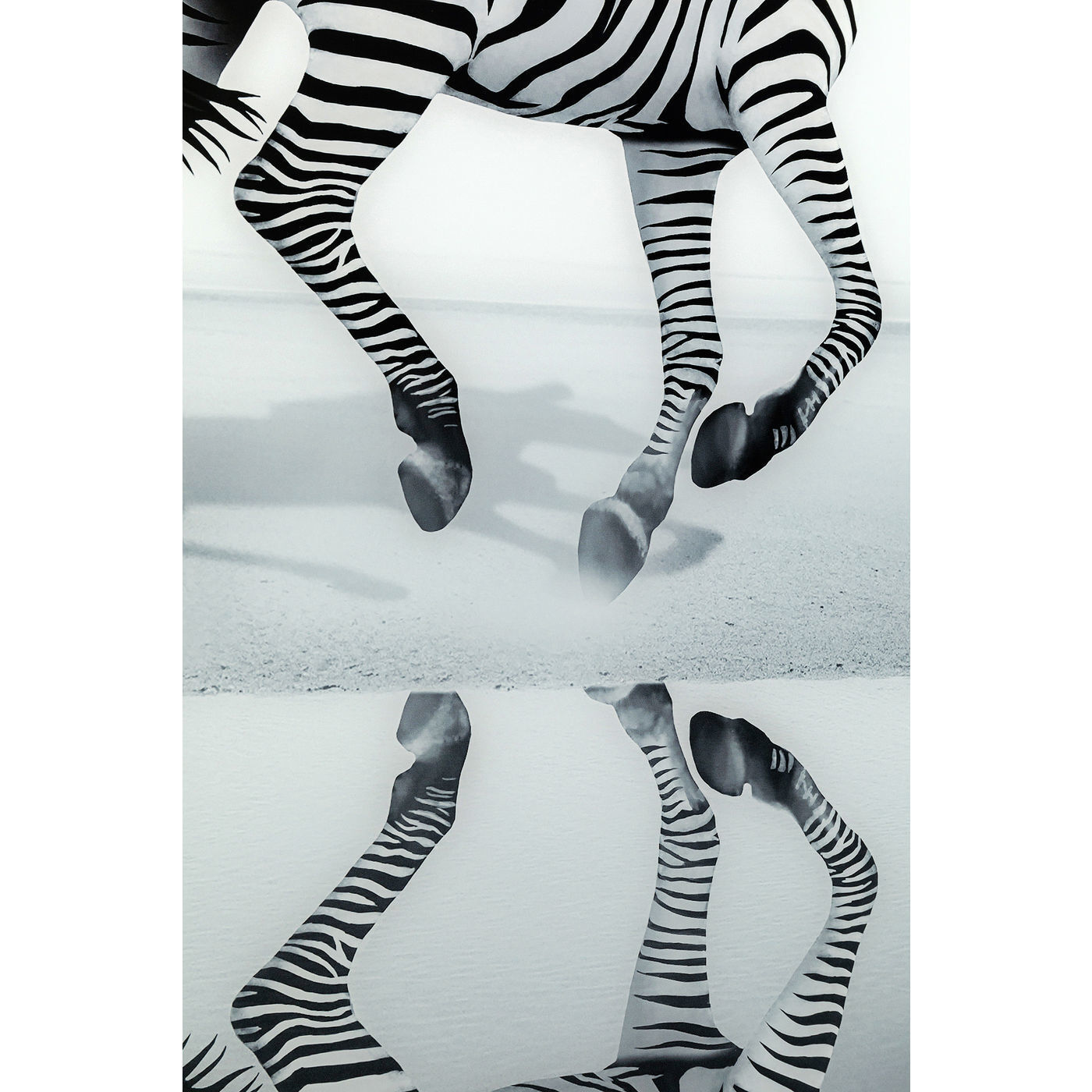 Картина Savanne 51814 KARE