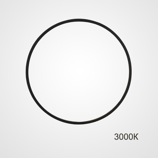 Настенный светильник GUARD D100 3000К by ImperiumLoft