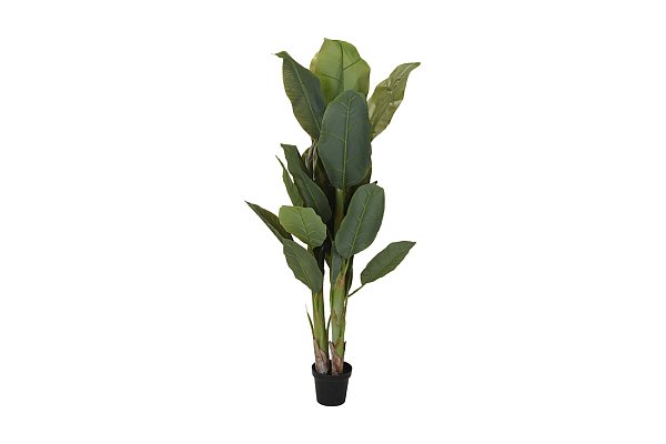 Банановый куст в горшке Garda Decor 318000690