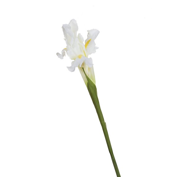 Ирис белый Garda Decor 9F27020-1538