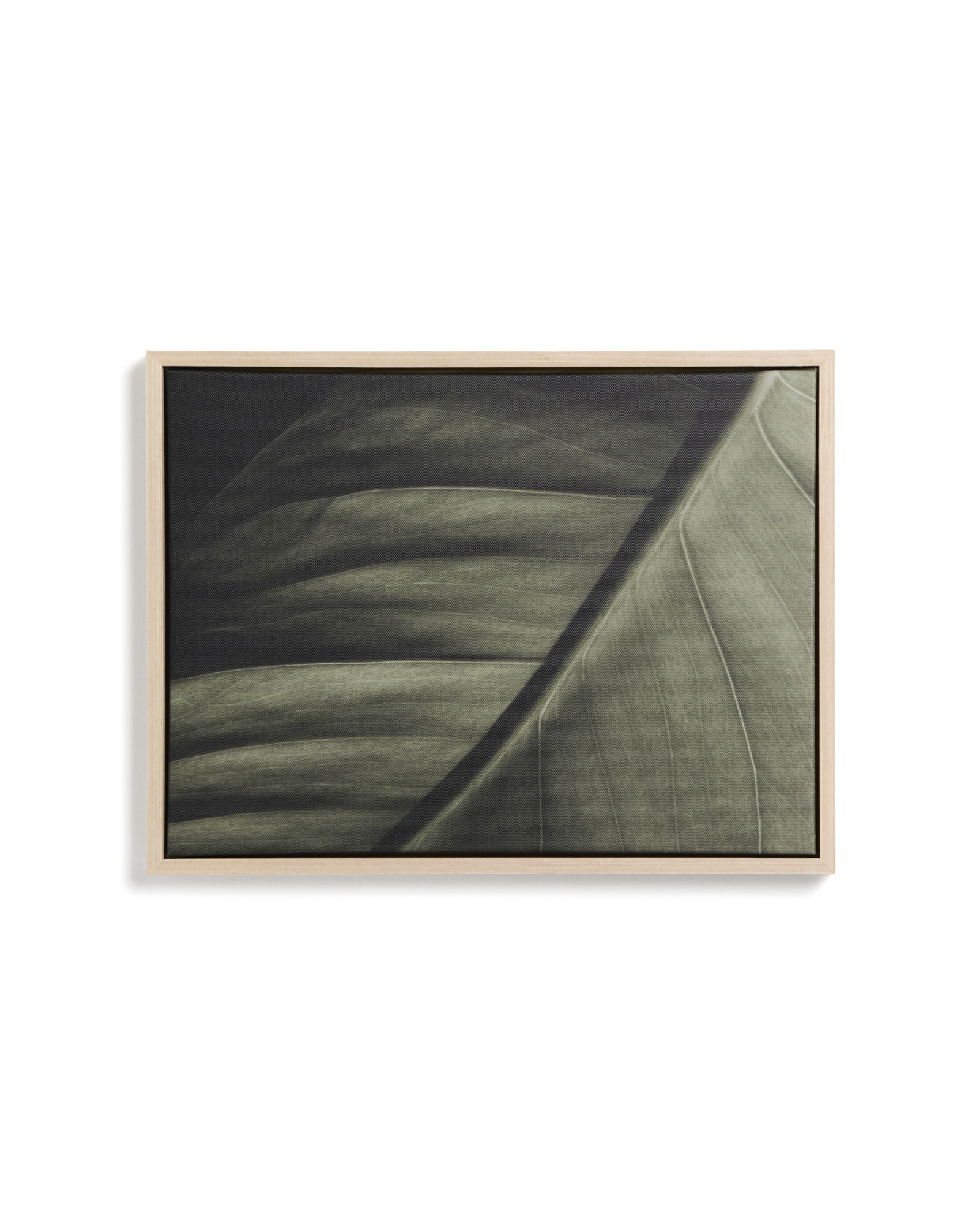 Фотография листа Foliae размер 32,5 x 42,5 см La Forma 481677