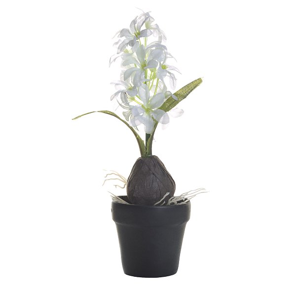 Гиацинт с луковицей белый в горшочке Garda Decor 8J-10LK0038