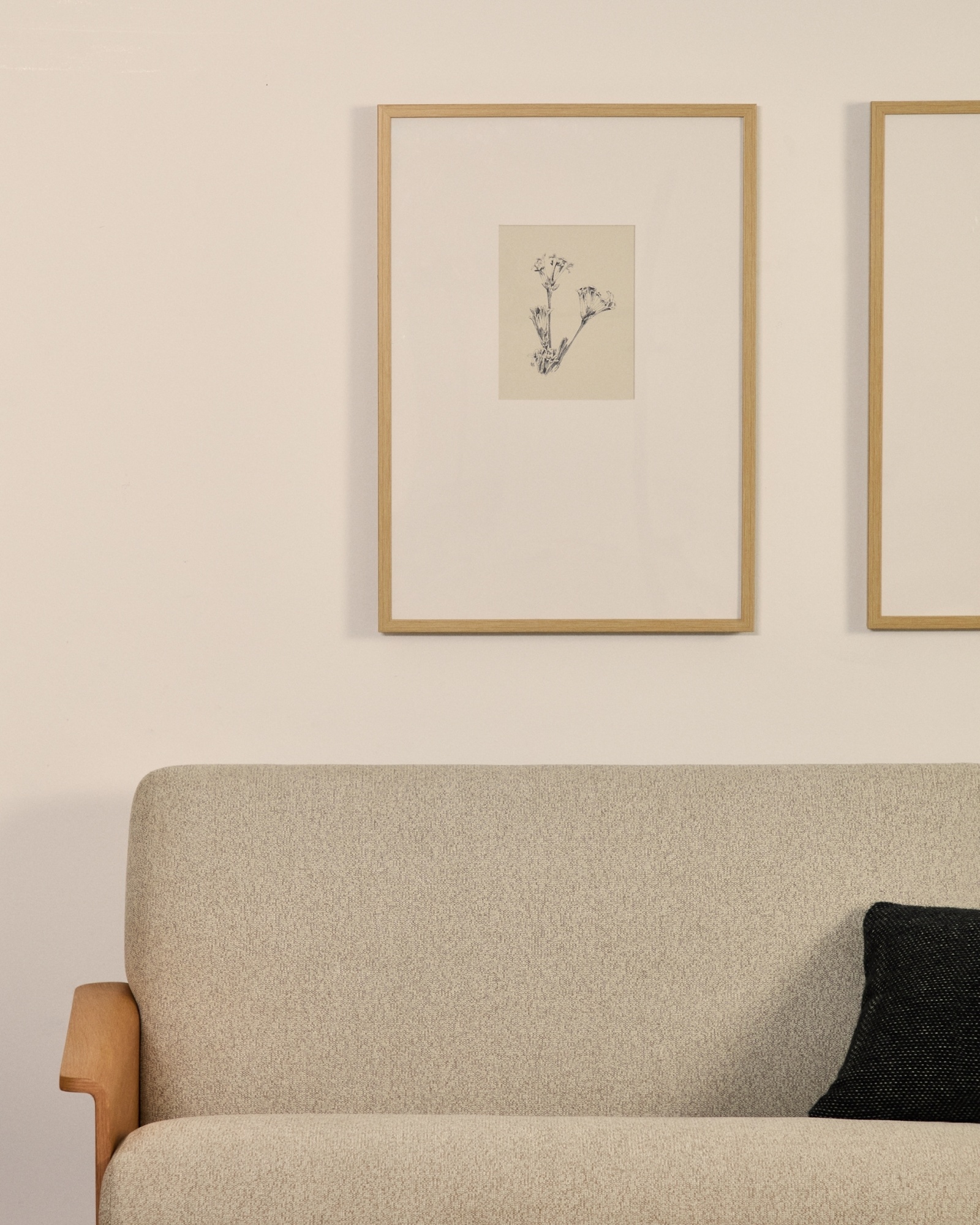 Картина Lirena с ботанической иллюстрацией 70 x 50 см La Forma (ex Julia Grup)